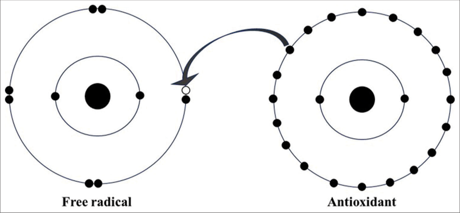 Representation of antioxidants neutralising free radical. Black dots: Electrons, White dot: hole (vacant), Arrow: donation of electron from antioxidant to free radical.